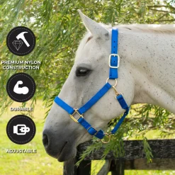 Shedrow Deluxe Halter