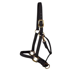 Shedrow Deluxe Halter