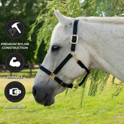 Shedrow Deluxe Halter