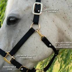 Shedrow Deluxe Halter