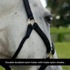 Shedrow Deluxe Halter