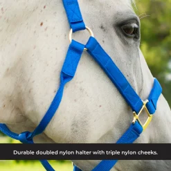 Shedrow Deluxe Halter