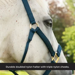 Shedrow Deluxe Halter