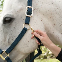 Shedrow Deluxe Halter