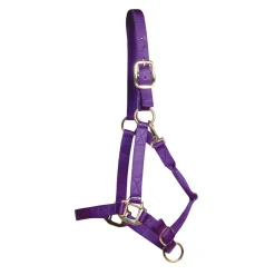 Shedrow Deluxe Halter