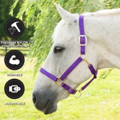 Shedrow Deluxe Halter