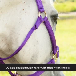 Shedrow Deluxe Halter