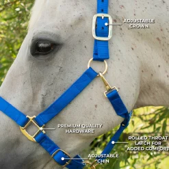 Shedrow Deluxe Halter