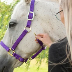 Shedrow Deluxe Halter