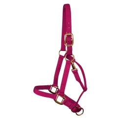Shedrow Deluxe Halter