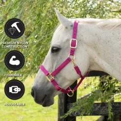 Shedrow Deluxe Halter