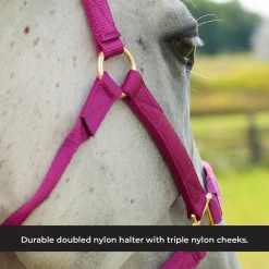 Shedrow Deluxe Halter
