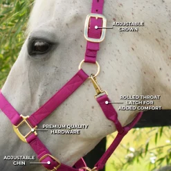 Shedrow Deluxe Halter