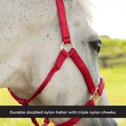 Shedrow Deluxe Halter