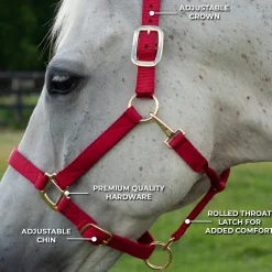 Shedrow Deluxe Halter