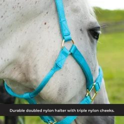 Shedrow Deluxe Halter