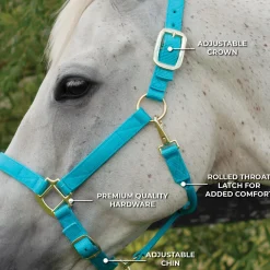 Shedrow Deluxe Halter