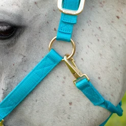 Shedrow Deluxe Halter