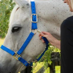 Shedrow Deluxe Halter