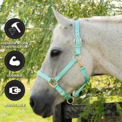 Shedrow Deluxe Halter