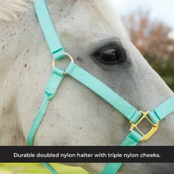 Shedrow Deluxe Halter