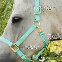 Shedrow Deluxe Halter