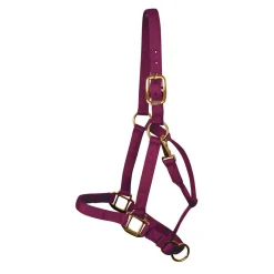 Shedrow Deluxe Halter