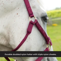 Shedrow Deluxe Halter
