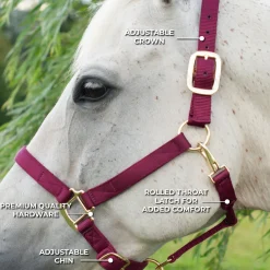 Shedrow Deluxe Halter
