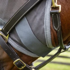 Shedrow Fly Mask