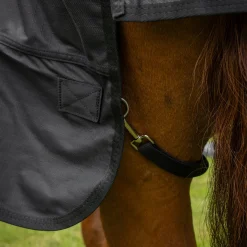 Shedrow Full Neck Rainsheet 0 g