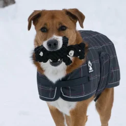 Shedrow K9 Bear Rope Dog Toy