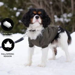 Shedrow K9 Brentwood Dog Hoodie