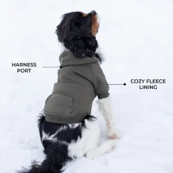 Shedrow K9 Brentwood Dog Hoodie