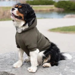 Shedrow K9 Brentwood Dog Hoodie