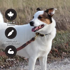 Shedrow K9 Bristol Twisted Leather Leash 1.5 m