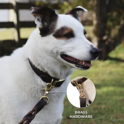 Shedrow K9 Bristol Twisted Leather Leash 1.5 m