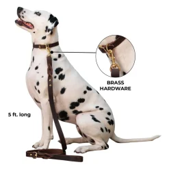 Shedrow K9 Bristol Twisted Leather Leash 1.5 m