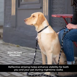 Shedrow K9 Camino Rope Leash