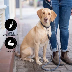 Shedrow K9 Camino Rope Leash