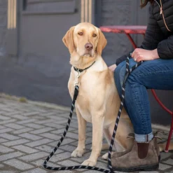 Shedrow K9 Camino Rope Leash