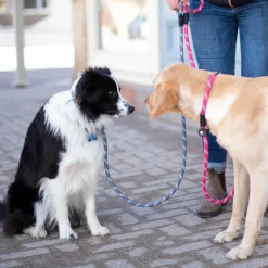 Shedrow K9 Camino Rope Slip Leash