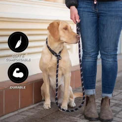 Shedrow K9 Camino Rope Slip Leash