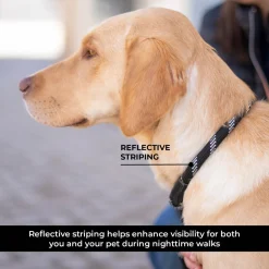 Shedrow K9 Camino Rope Slip Leash