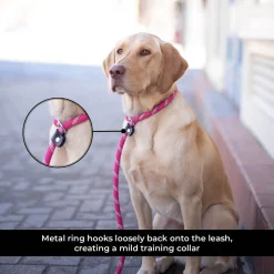 Shedrow K9 Camino Rope Slip Leash