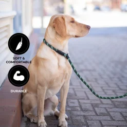 Shedrow K9 Camino Rope Slip Leash