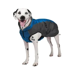 Shedrow K9 Chinook Dog Coat