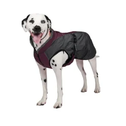 Shedrow K9 Chinook Dog Coat
