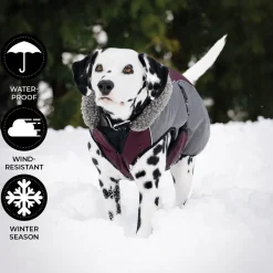 Shedrow K9 Chinook Dog Coat