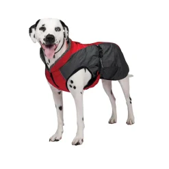 Shedrow K9 Chinook Dog Coat